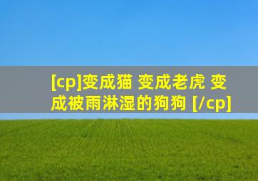 [cp]变成猫 变成老虎 变成被雨淋湿的狗狗 [/cp]